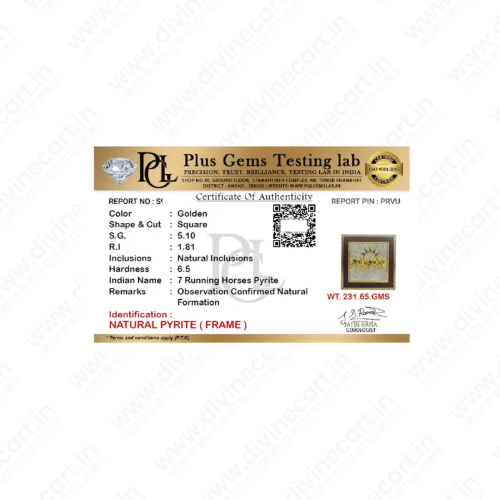 Raw Pyrite Dust Frame | Wealth, Prosperity & Positive Energy Decor | Divinecart - Divinecart.in